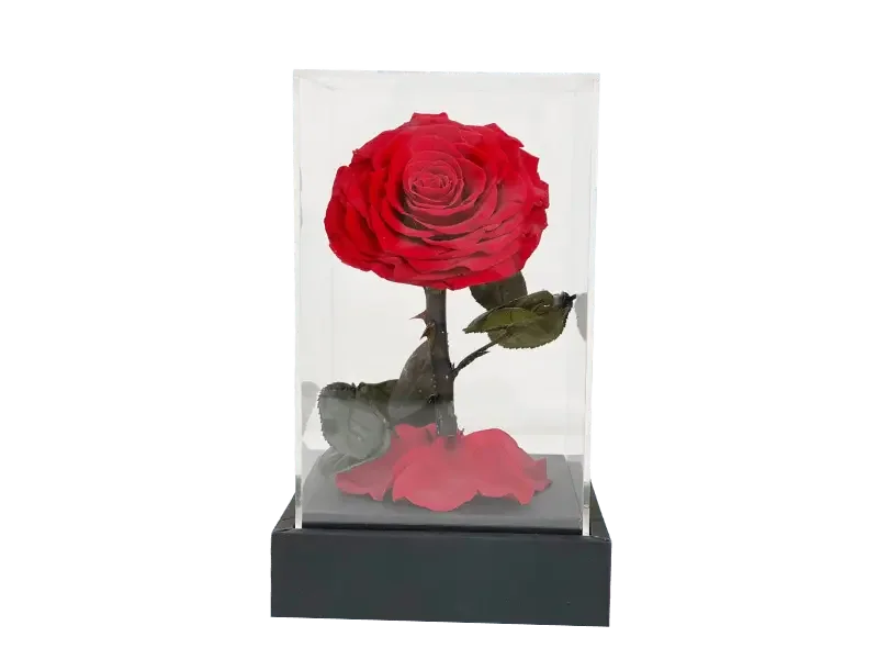 Elegance Flower Cube — Image 2 of 3