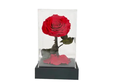 Elegance Flower Cube — Image 2 of 3
