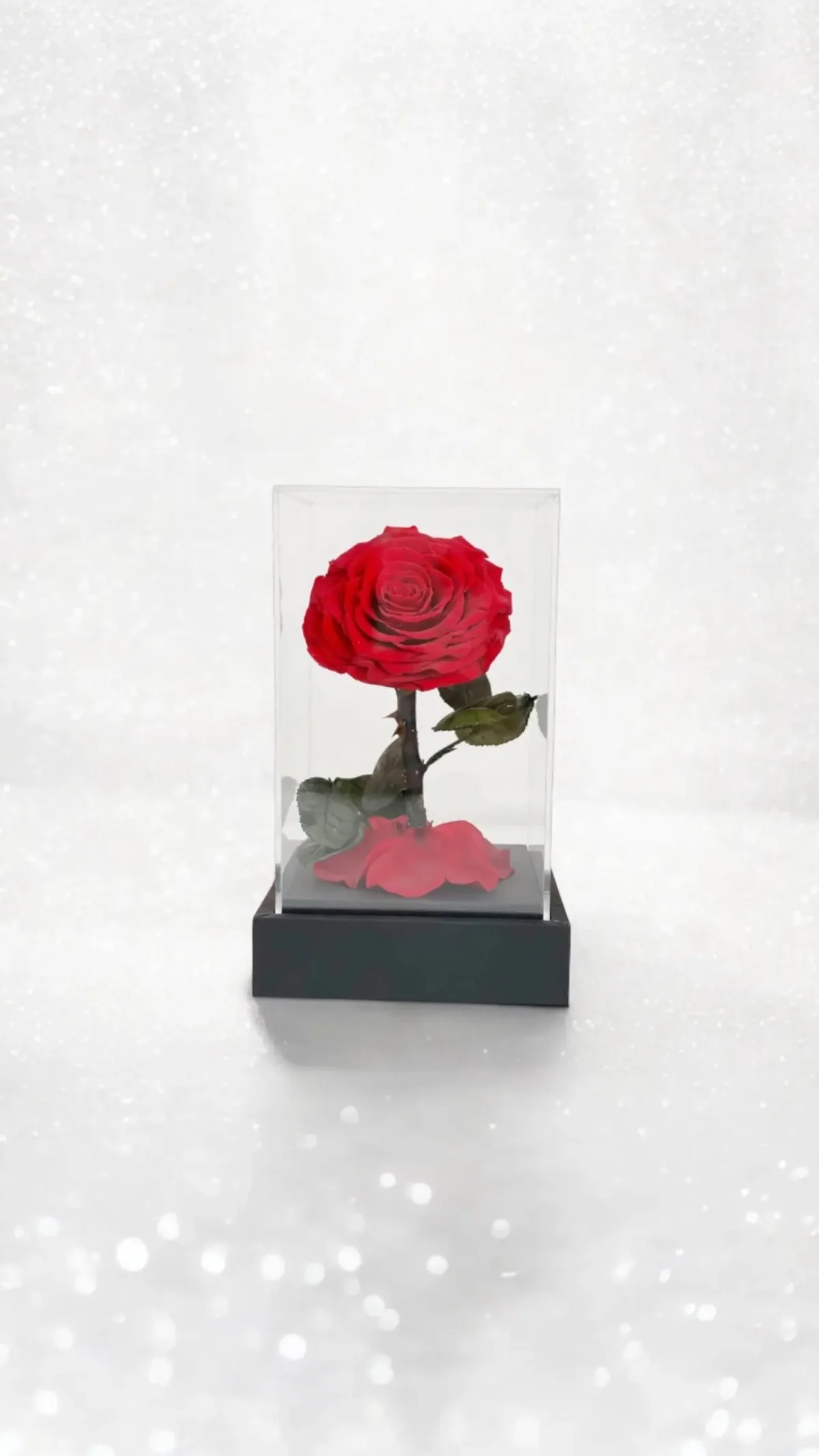 Elegance Flower Cube.
