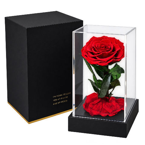 Elegance Flower Cube z czerwoną różą stabilizowaną w przezroczystej akrylowej gablocie obok czarnego pudełka prezentowego, na przezroczystym tle.