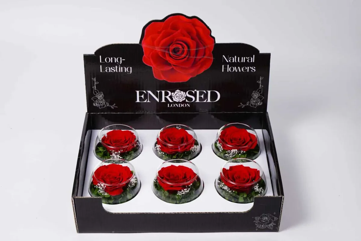 XL Bowl Roses with Display in Red