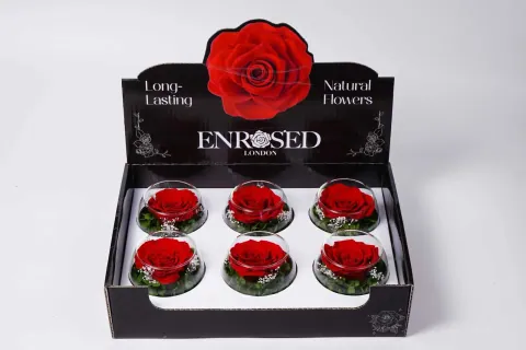 XL Bowl Roses with Display in Red
