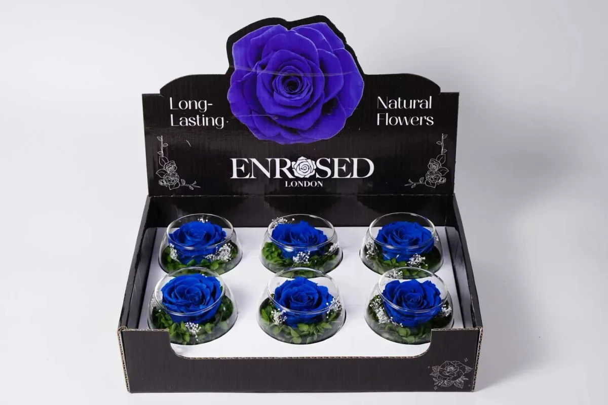 XL Bowl Roses with Display in Navy