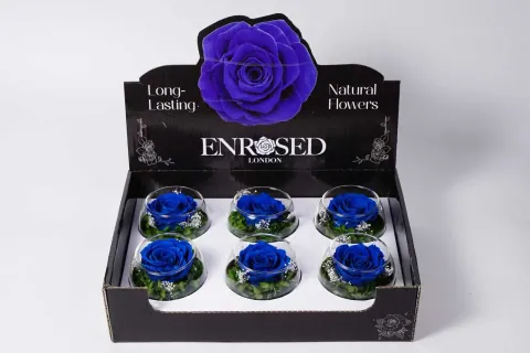 XL Bowl Roses with Display in Navy