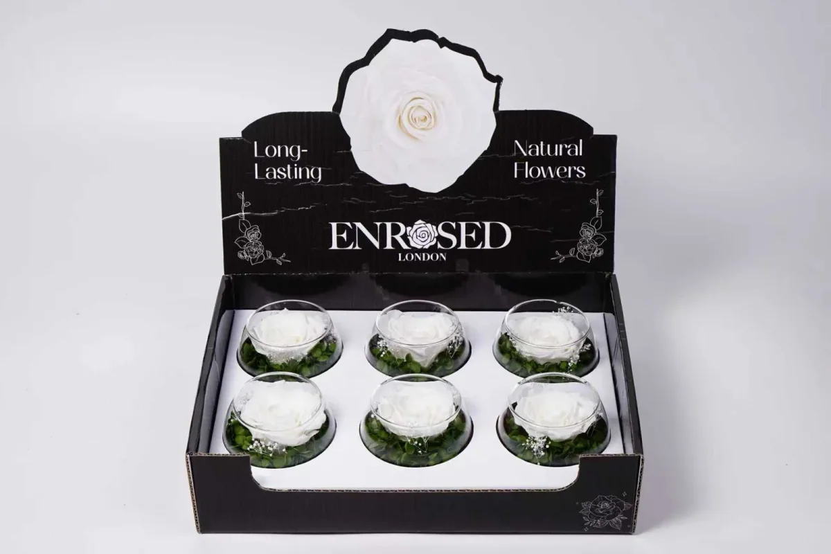XL Bowl Roses with Display in White