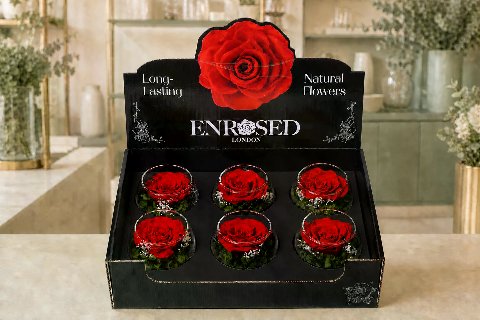 XL Bowl Roses with Display in red with a black insert