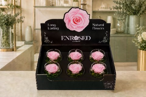 XL Bowl Roses with Display in cherry pink with a black insert