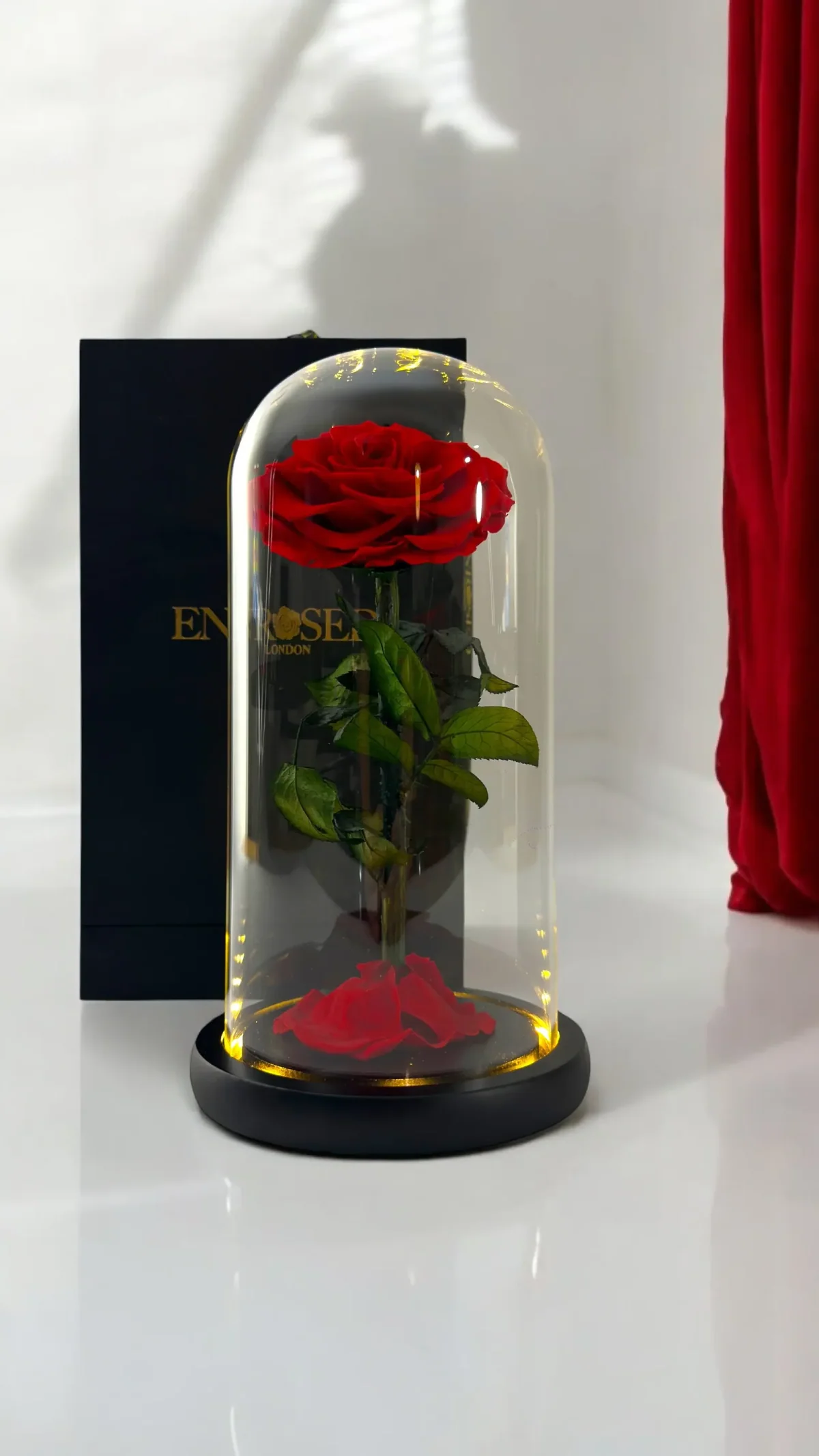 Preserved Rose in 25 cm Glass Dome — Image 5 of 12
