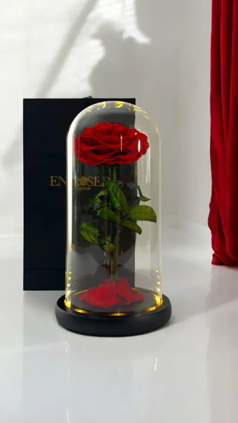 Preserved Rose in 25 cm Glass Dome — Image 5 of 12