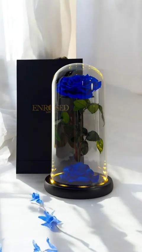 Preserved Rose in 25 cm Glass Dome — Image 8 of 12