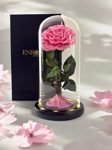 Preserved Rose in 25 cm Glass Dome — Image 7 of 12