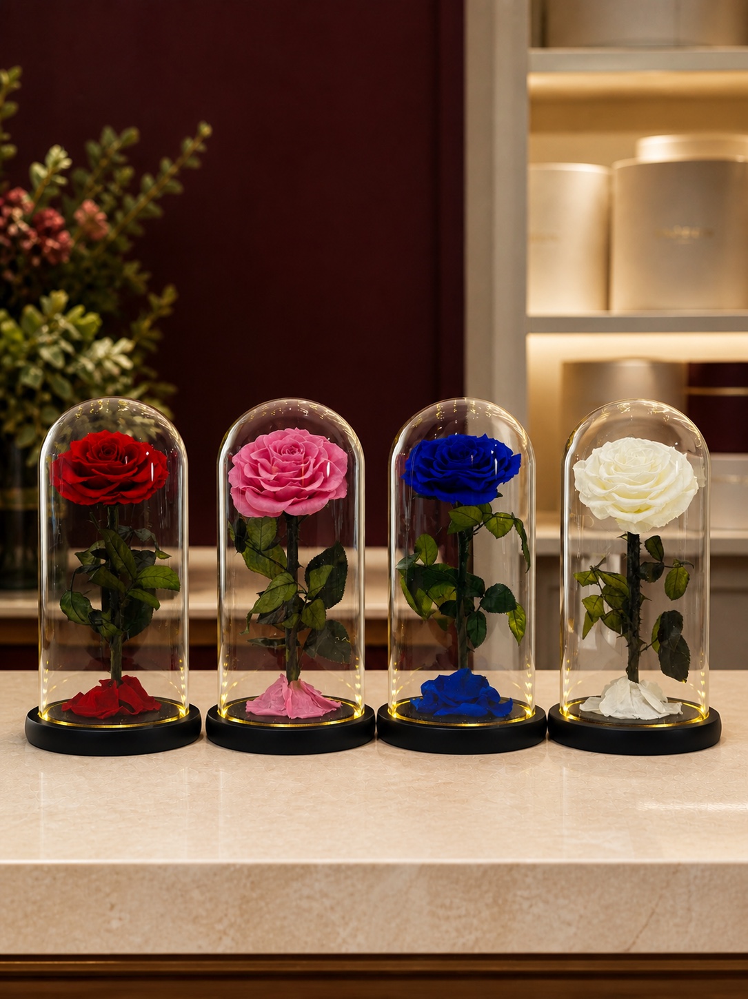 Preserved Rose in 25 cm Glass Dome — colour overview in the Enrosed showroom