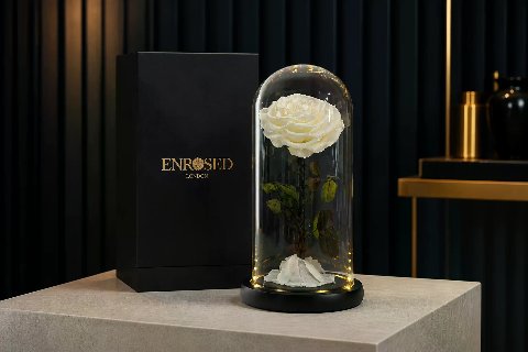 Preserved Rose in 25 cm Glass Dome — White; wide product photo in the Enrosed showroom
