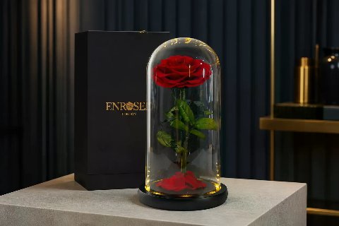 Preserved Rose in 25 cm Glass Dome — Red; wide product photo in the Enrosed showroom