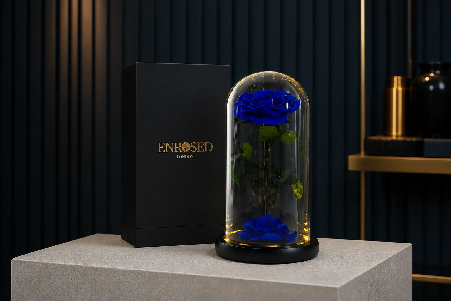 Preserved Rose in 25 cm Glass Dome — Navy; wide product photo in the Enrosed showroom