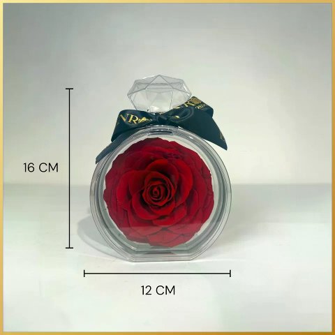Konservierte Rose in einem rautenförmigen XL-Display