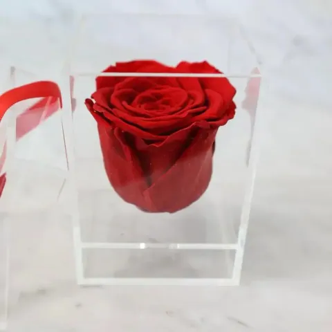 Preserved Rose in Plexibox — Image 6 of 10