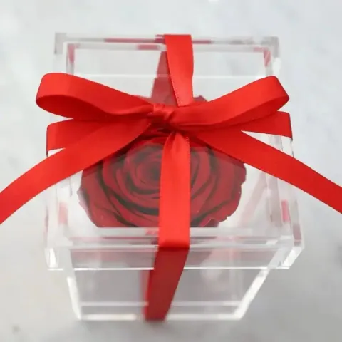 Preserved Rose in Plexibox — Image 5 of 10
