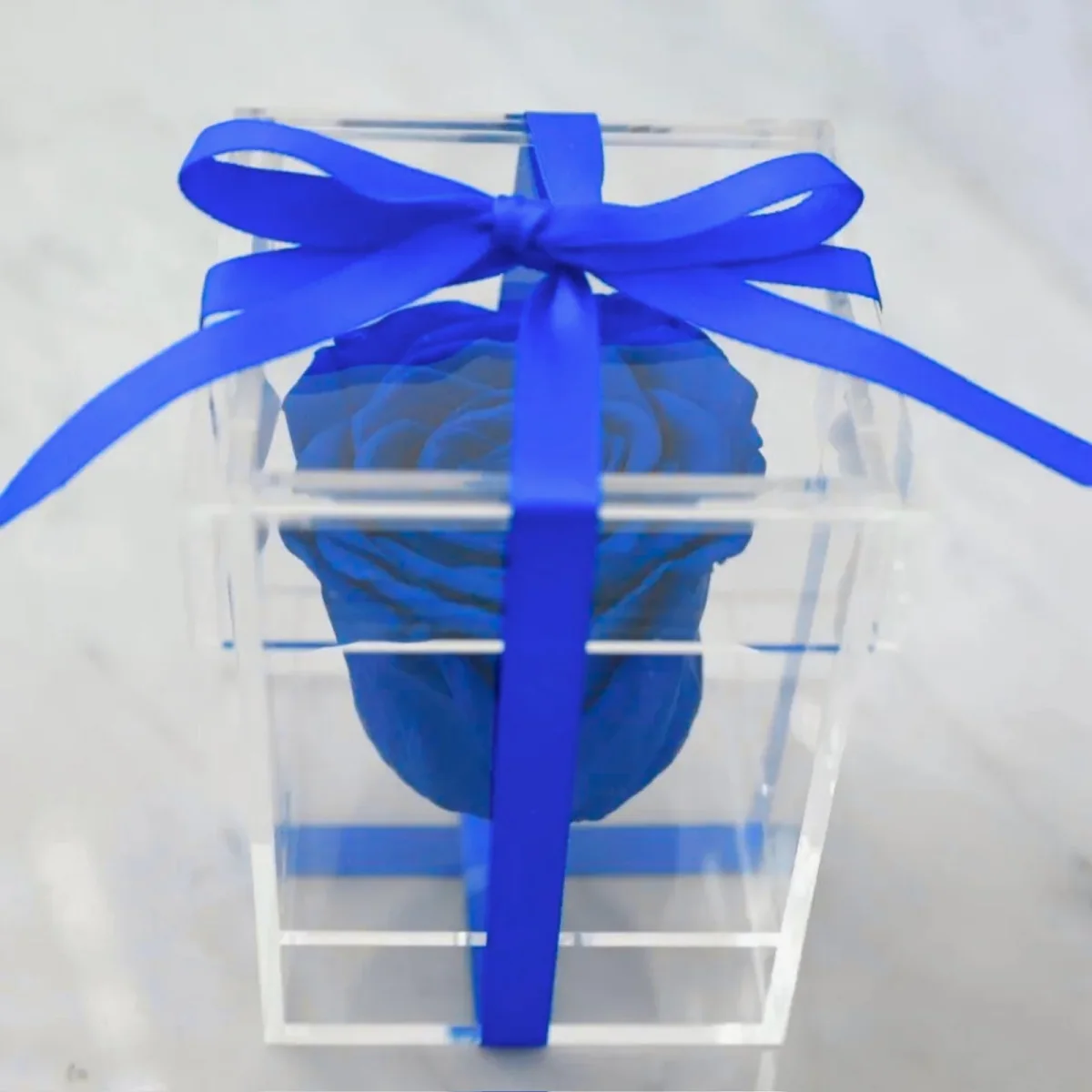 Preserved Rose in Plexibox in Navy