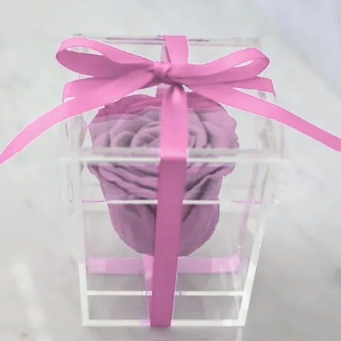 Preserved Rose in Plexibox in Cherry Pink