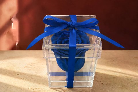 Preserved Rose in Plexibox — Navy; wide product photo in the Enrosed showroom