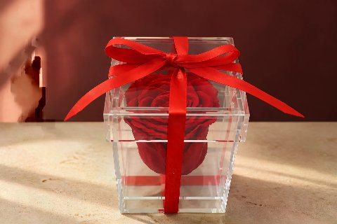 Preserved Rose in Plexibox — Red; wide product photo in the Enrosed showroom