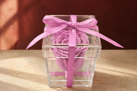 Preserved Rose in Plexibox — Cherry Pink; wide product photo in the Enrosed showroom