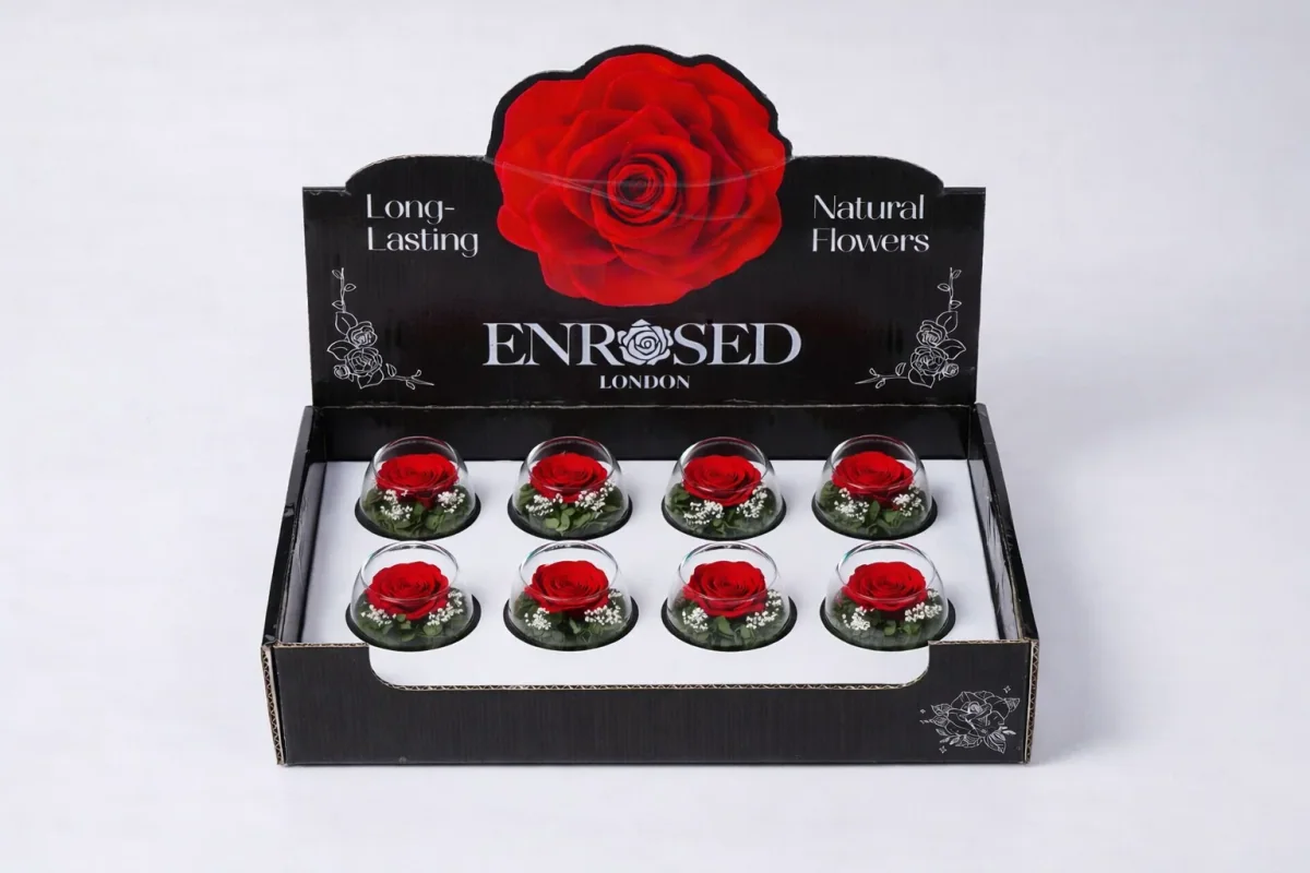 Preserved Bowl Roses with Display in Red