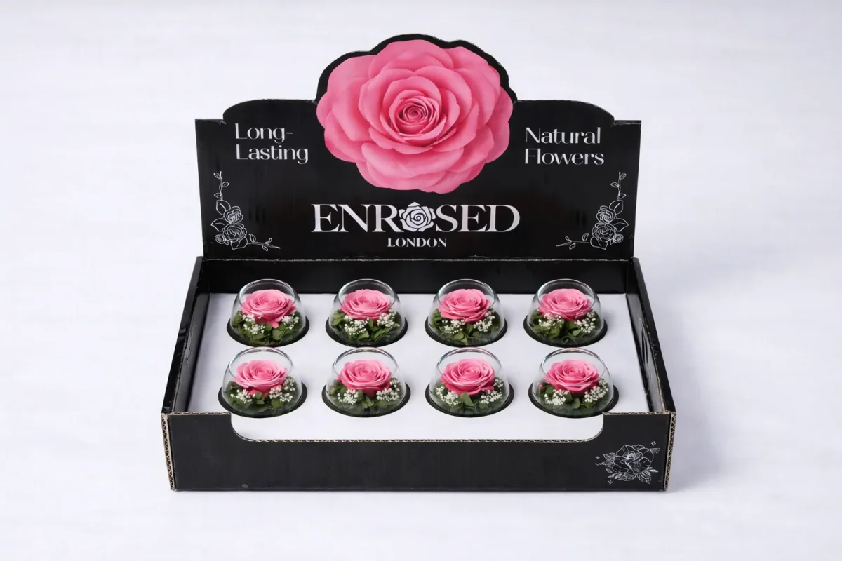Preserved Bowl Roses with Display in Pink