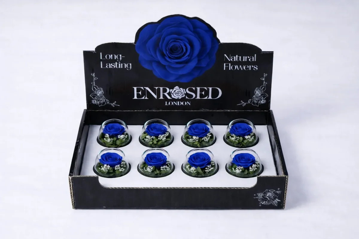 Preserved Bowl Roses with Display in Blue