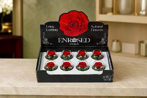 Preserved Bowl Roses with Display — Red; wide product photo in the Enrosed showroom
