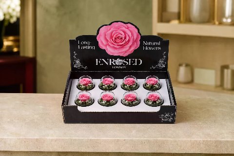 Preserved Bowl Roses with Display — Pink; wide product photo in the Enrosed showroom