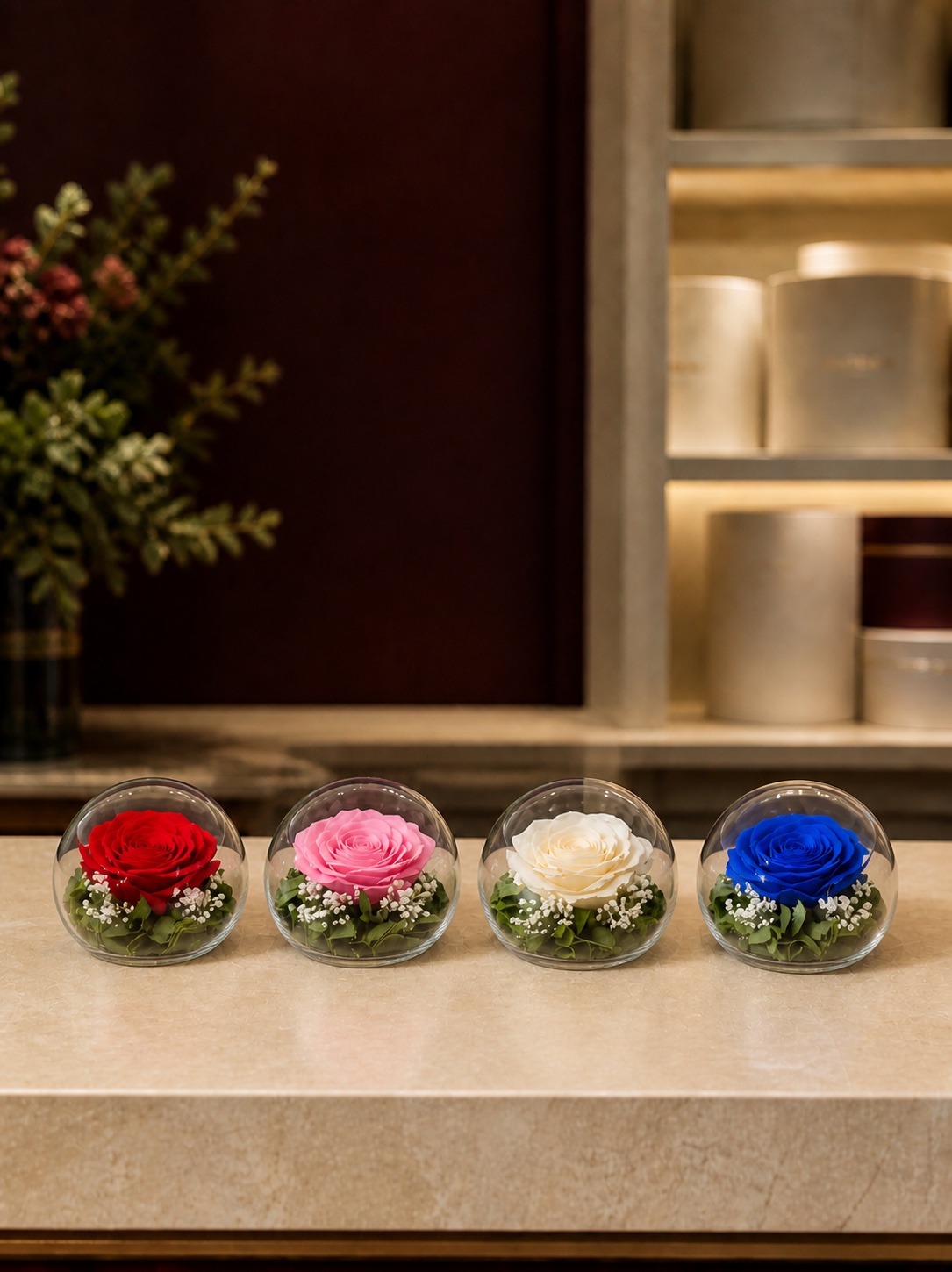 Preserved Bowl Roses with Display — colour overview in the Enrosed showroom