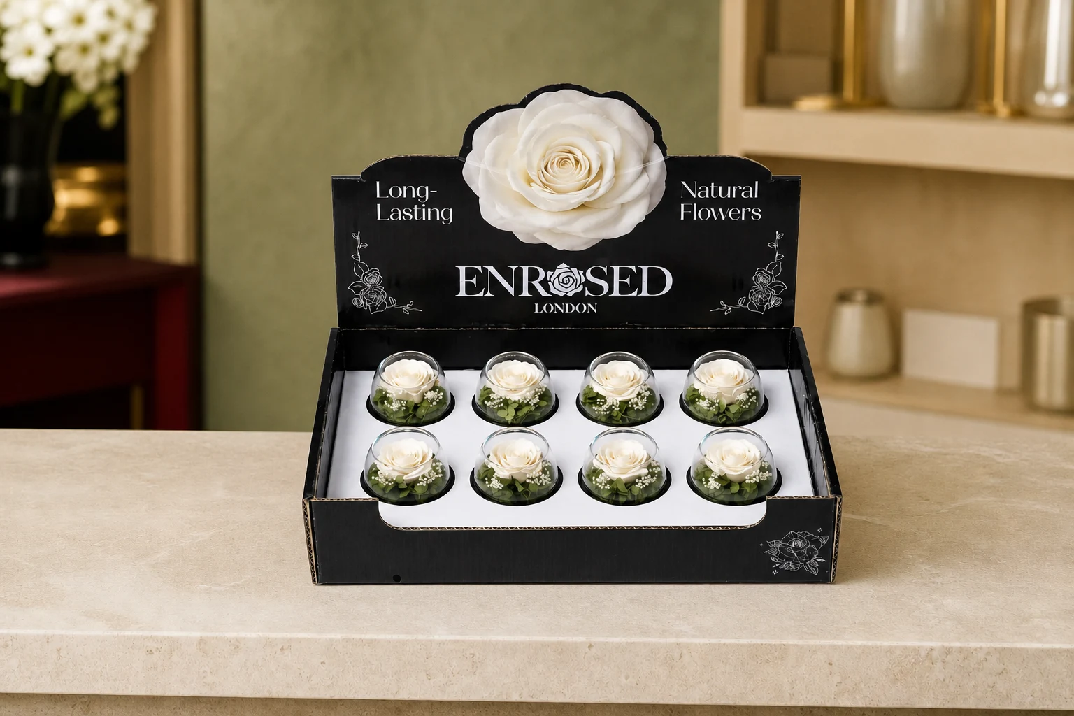 Preserved Bowl Roses with Display — White; wide product photo in the Enrosed showroom
