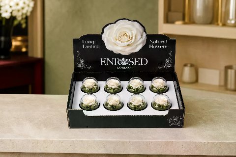 Preserved Bowl Roses with Display — White; wide product photo in the Enrosed showroom