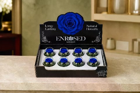 Preserved Bowl Roses with Display — Blue; wide product photo in the Enrosed showroom