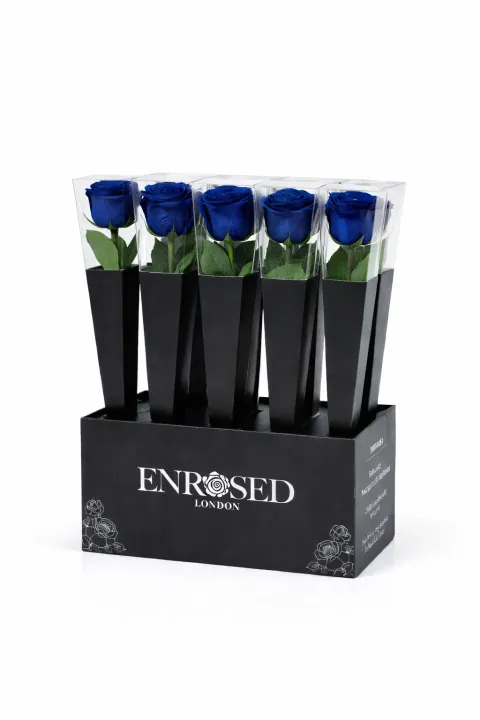 12 Preserved Stem Roses with Display in Blue