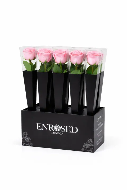 12 Preserved Stem Roses with Display in Pink