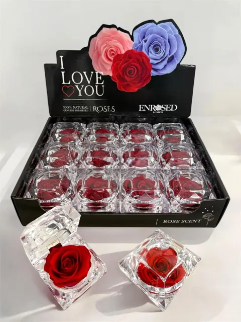 Diamond Rose with Display and Fragrance in Red