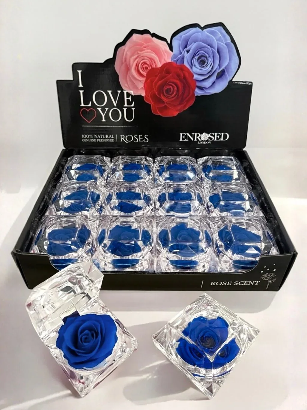 Diamond Rose with Display and Fragrance in Navy