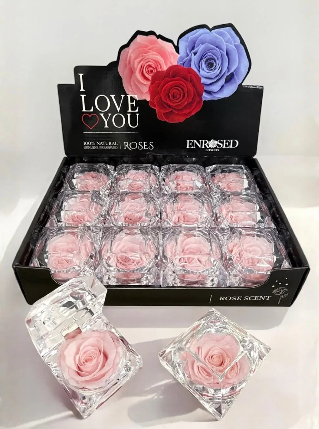 Diamond Rose with Display and Fragrance in Cherry Pink