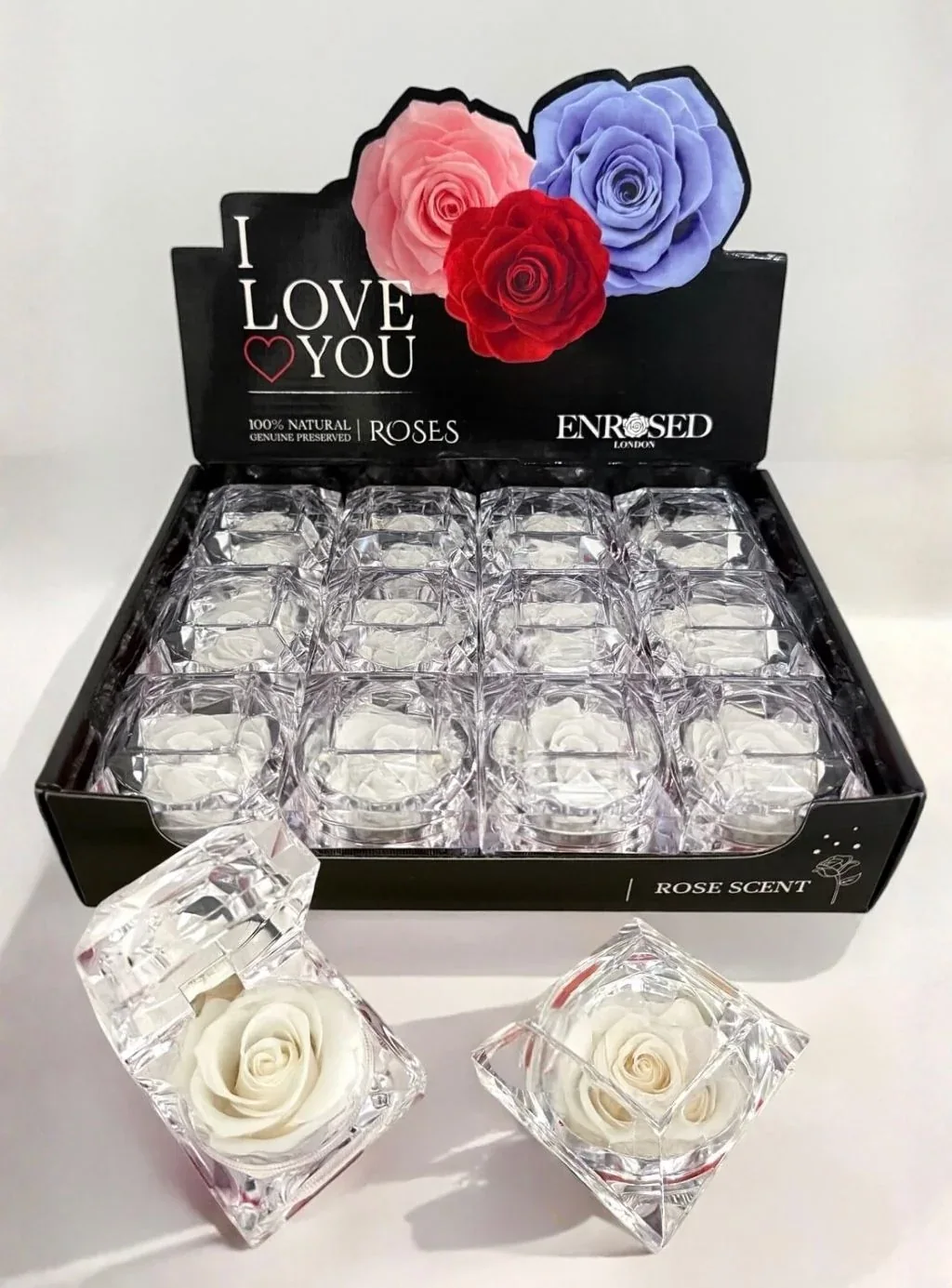 Diamond Rose with Display and Fragrance in White