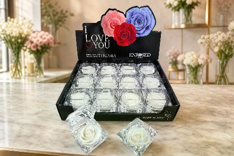 Diamond Rose with Display and Fragrance — White; wide product photo in the Enrosed showroom