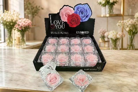 Diamond Rose with Display and Fragrance — Cherry Pink; wide product photo in the Enrosed showroom