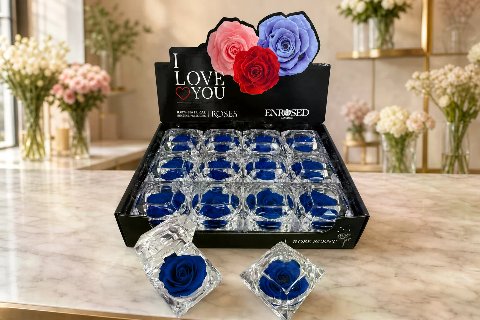 Diamond Rose with Display and Fragrance — Navy; wide product photo in the Enrosed showroom
