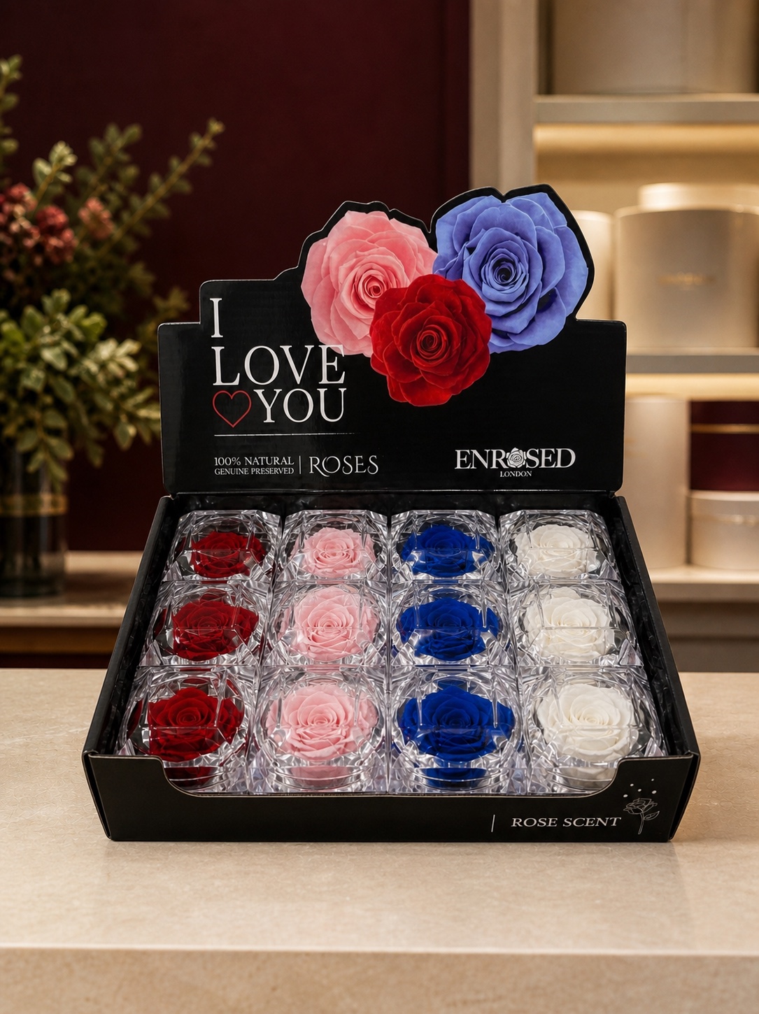 Diamond Rose with Display and Fragrance — colour overview in the Enrosed showroom