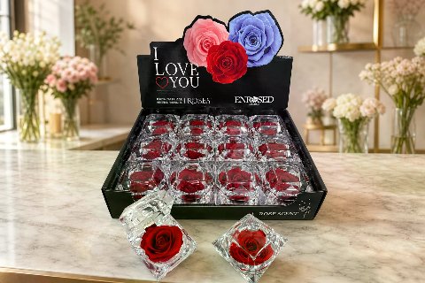 Diamond Rose with Display and Fragrance — Red; wide product photo in the Enrosed showroom