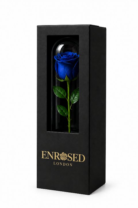 Blaue Rose unter einer 7 × 23 cm großen Kuppel, in einer schwarzen Geschenkbox mit Sichtfenster und goldenem ENROSED LONDON-Logo.