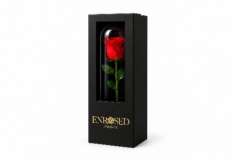 Rote Rose unter einer 7 × 23 cm großen Kuppel, in einer schwarzen Geschenkbox mit Sichtfenster und goldenem ENROSED LONDON-Logo.