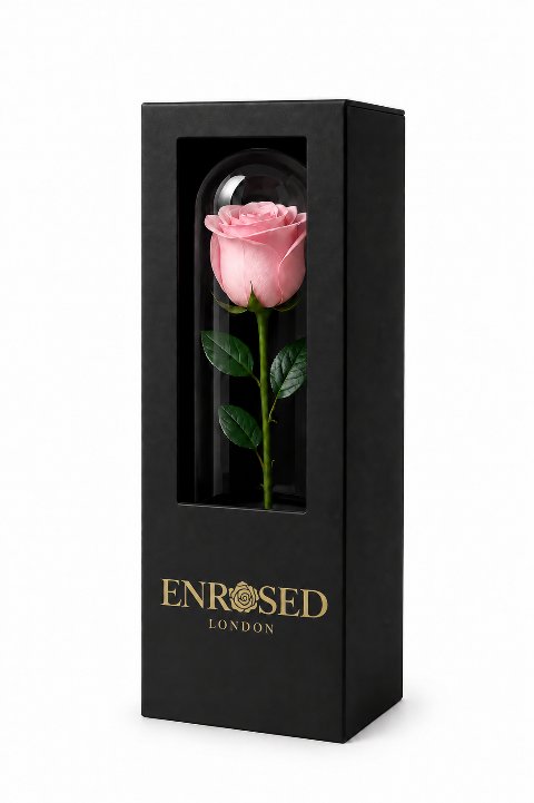 Rosa Rose unter einer 7 × 23 cm großen Kuppel, in einer schwarzen Geschenkbox mit Sichtfenster und goldenem ENROSED LONDON-Logo.